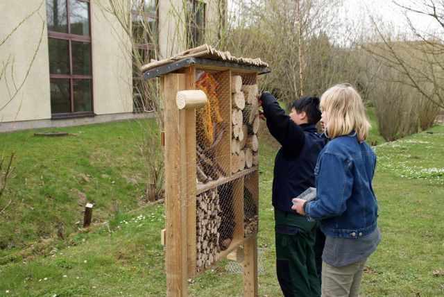 Oberstufenklasse baut Insektenhotel